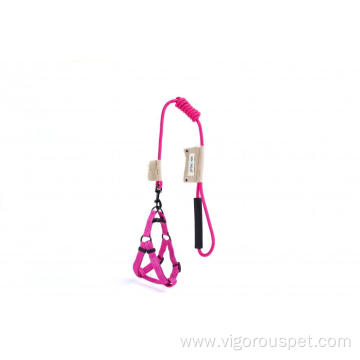 Pet harness and leash set